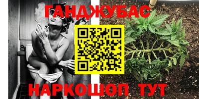 кокс Кингисепп