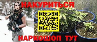 кокс Кингисепп