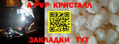 кокс Кингисепп