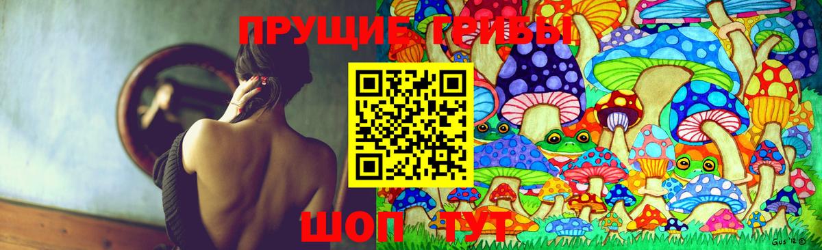 Слободской  Галлюциногенные грибы Cubensis  Псилоцибиновые грибы Magic Shrooms  Вход с VPN 