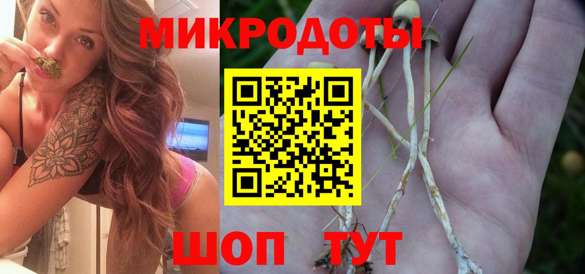Псилоцибиновые грибы Psilocybine cubensis Слободской